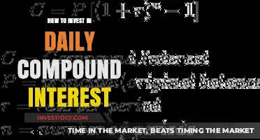 Maximize Your Returns: A Guide to Daily Compound Interest Investing
