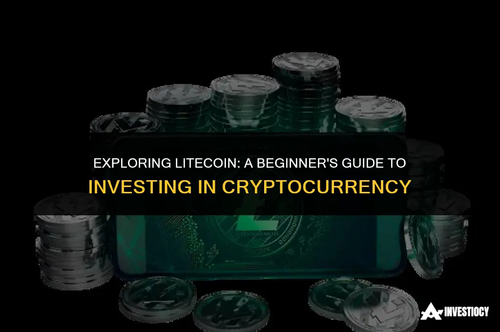 how to invest in litecoin cryptocurrency