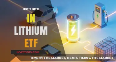 Strategic Investing: Diversifying Your Portfolio with Lithium ETFs