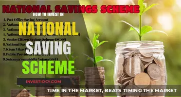 Smart Investing: Unlocking the Benefits of National Savings Schemes