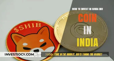 Navigating the Shiba Inu Investment Landscape in India