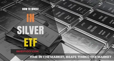 Diversify Your Portfolio: A Beginner's Guide to Investing in Silver ETFs