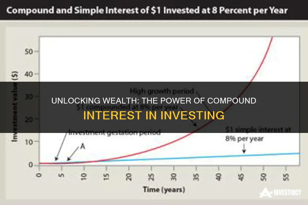 how to invest using compound interest