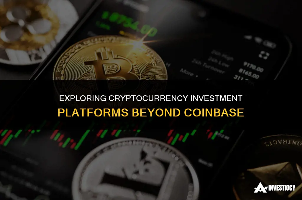 is coinbase the only cryptocurrency investment platform
