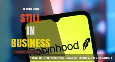 Is Robin Hood Still in Business: A Modern-Day Financial Tale