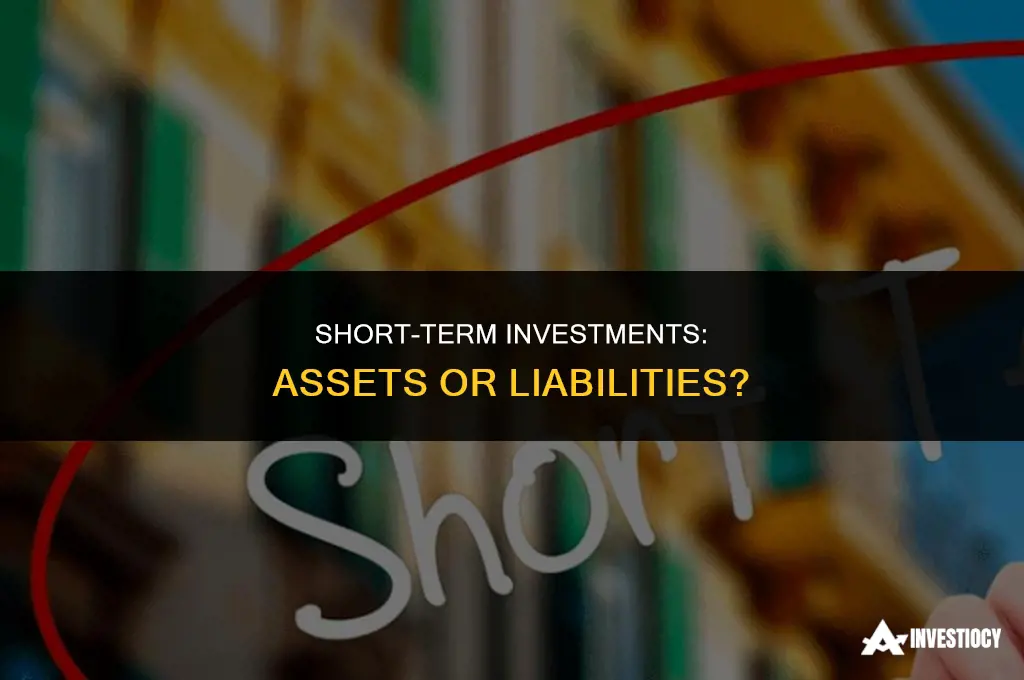 is short term investment an asset