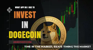 Dive into Dogecoin: Your Guide to Investing in the Popular Crypto