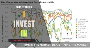 Diversify Your Portfolio: Top ETFs to Consider for Long-Term Growth