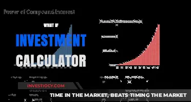 Exploring Financial Futures: The Power of a 'What If' Investment Calculator