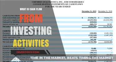 Unlocking Financial Insights: Understanding Cash Flow from Investing Activities