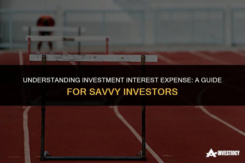 what is investment interest expense