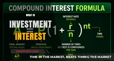 Understanding Investment Interest: A Beginner's Guide to Financial Growth