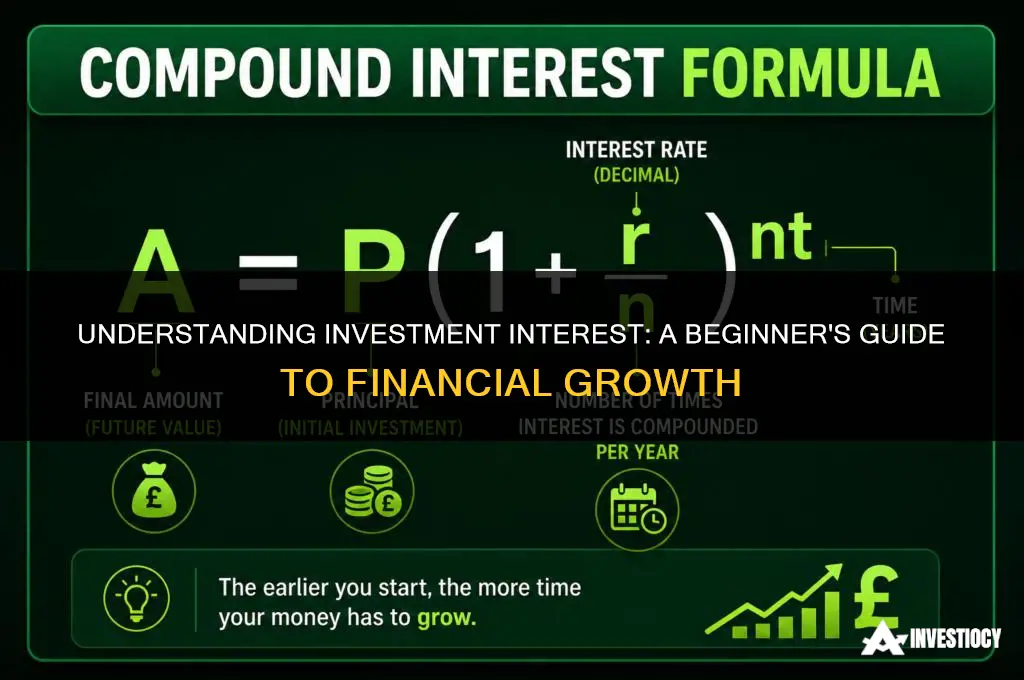 what is investment interest