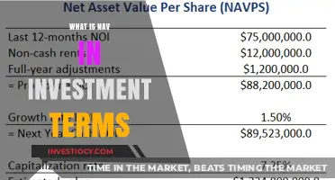 Decoding NAV: Understanding Net Asset Value in Investments