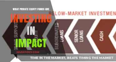 Unlocking Impact: Private Equity's New Frontier in Sustainable Investments