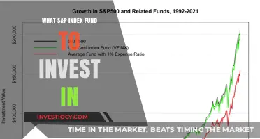 Smart Investing: Top S&P Index Funds for Your Portfolio