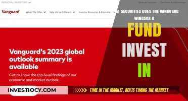 Exploring Vanguard Windsor II Fund's Investment Portfolio