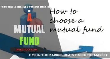 Key Considerations for Investors When Choosing a Mutual Fund