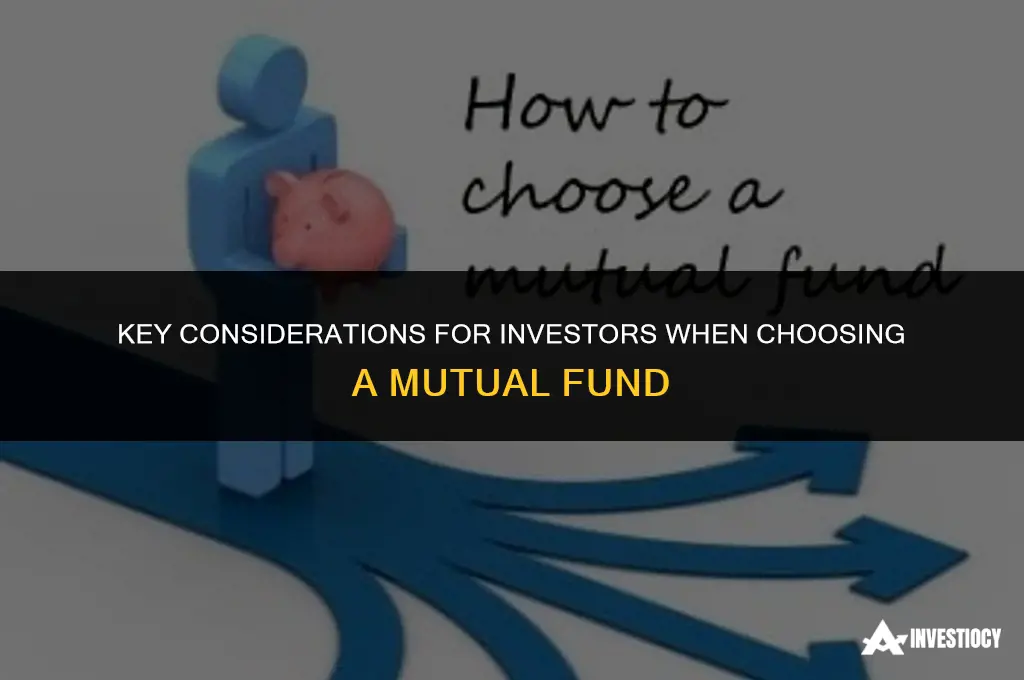 what should investor