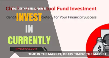 Smart Investing: Top Mutual Fund Picks for Today's Market