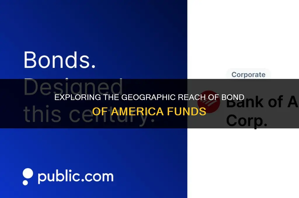 what states are bond of america funds invested in