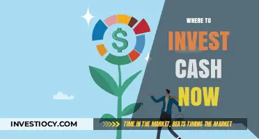 Smart Moves: Where to Invest Your Cash in Today's Market