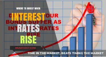 Smart Investment Strategies for Rising Interest Rate Environments