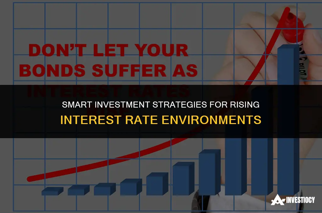 where to invest when interest rates rise