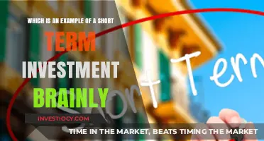 Smart Strategies: Examples of Short-Term Investments for Quick Returns