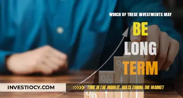 Strategic Investments: Balancing Long-Term Growth and Short-Term Gains